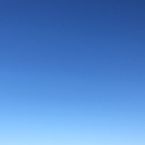 Meet your Posher, Bonnie